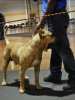 TORRO DE IRON PRESS KENNEL