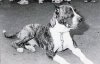 ZORBA
