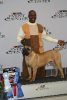MID AMERICA K-9 BRIO