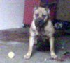 REYNA (9 TO 5)