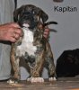 KAPITAN