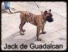JACK DE GUADALCAN
