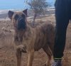 TULA DE CIELO DE CANARIAS