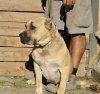 AITANA DE KING ZULU