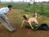 THOR DE KING ZULU