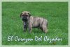 EL TANQUE EL CORAZON DEL CAZADOR