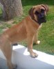FLOYD DES CONTES DE LOLA