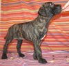 ATLAS M.R.CANARIO ISRAEL