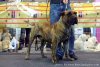 MANGO DE BARNACAN BULL