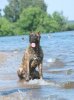CORSO NONPAREL BERINIKA CANARIO