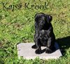 RUSTICDREAMS KAJSA-KROOK