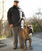 BRAVO KENNEL'S BRAVO