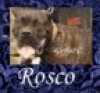 ROSCO