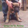 JORGE DE LA ARENA