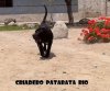 HANNA DE PATARATO RIO