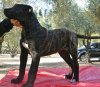 HODOR FROM GDF