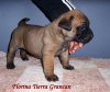FLORINA DE TIERRA GRANCAN