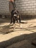 MODOU DE WOWPRESA
