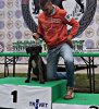 BOMBA BAD DOGZ CANARIO