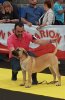BIMBA DE SAMCOR