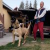 D-SURA DE VARRO BULL
