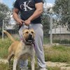 GRACIE DE SPARTA WILDBOYZ