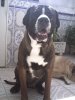DUQUE DE KING ZULU