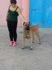 BENTEJUI DE CANCHAS DE GUAYRES