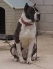 DRAKO DE ALCáNTARA