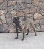 TAIFA DE SAMCOR