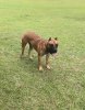 KUJO DE FOREST CITY PRESA
