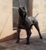 ROMULO DE TIERRA DE TAURO