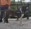 MICKY DE CUETO