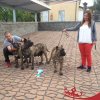NOAH DE METCAN