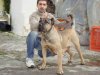 EL CRANERO DURO MESSO