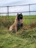CAYMAN AKA RIKKI