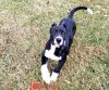 KARMA DE WOWPRESA