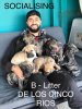 B DE LOS CINCO RIOS