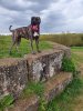 CHIA DE LA ARENA