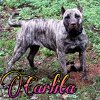CARLITA
