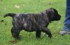 BINKY DE CABEZA GRANDE