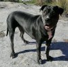 EVA (SIRA) KING ZULU