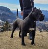 J'INNA SABURO KENNEL