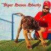 VIPER OF SEVEN SHARKY DINASTY
