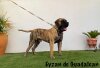 EYZAN DE GUADALCAN