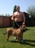 ATOS DOG PUR