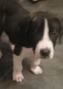MURPHY