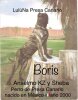 BORIS