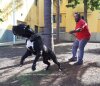 CONGRIO DE LINEA M