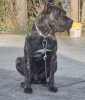 G’ CONGO DE KING ZULU